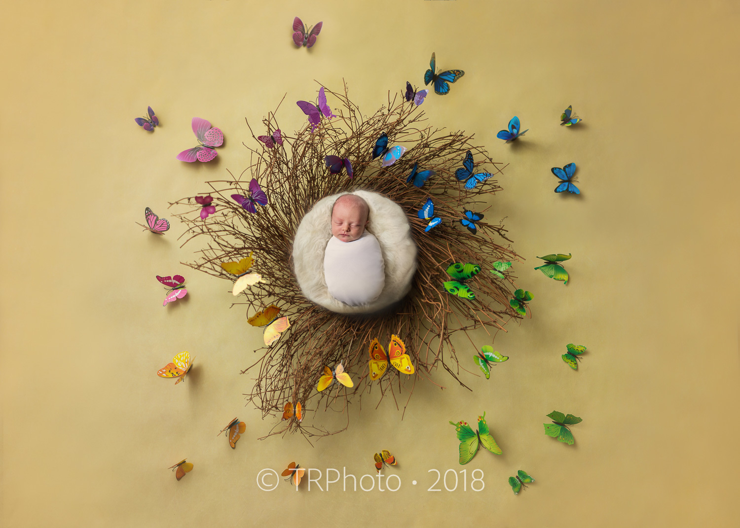 Rayne Aurora Newborn - 003
